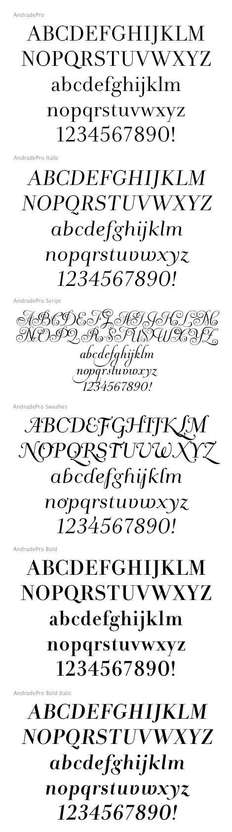 Andrade Pro Family (6 fonts) font from DSType