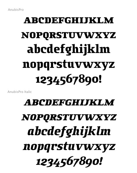 Anubis Pro Family (2 fonts) font from DSType
