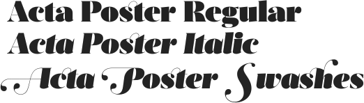 Acta Poster Complete Family (3 fonts) font from DSType