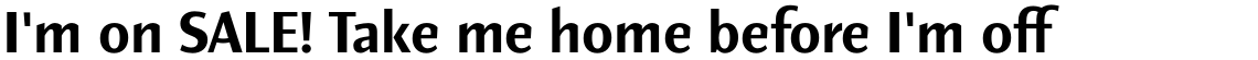 Elemental Sans Pro Bold