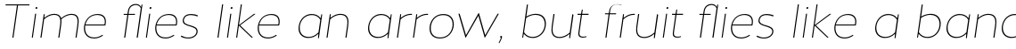 Halis Grotesque Thin Italic