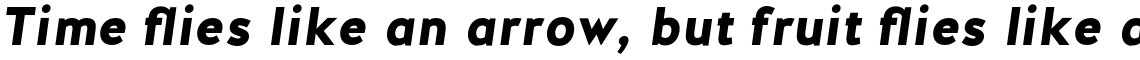 Halis Grotesque Black Italic