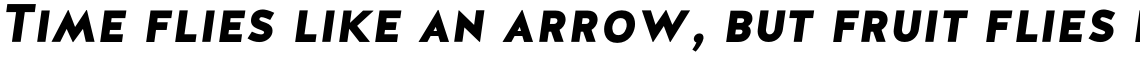 Halis Grotesque SC Black Italic