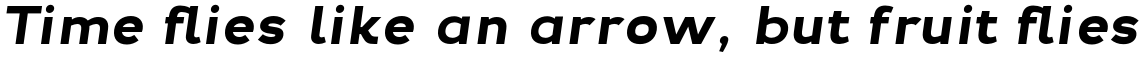 Troia Bold Italic