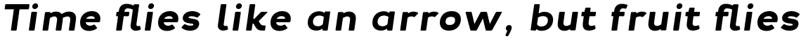 Troia Rounded Bold Italic