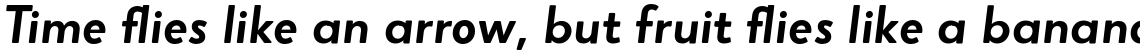 Narin Bold Italic