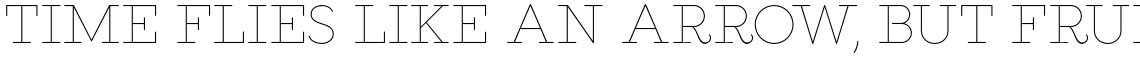 Salve Serif