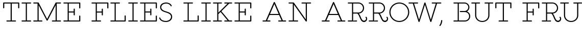 Salve Serif Bold