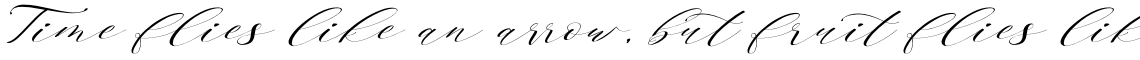 Brainlove Slant