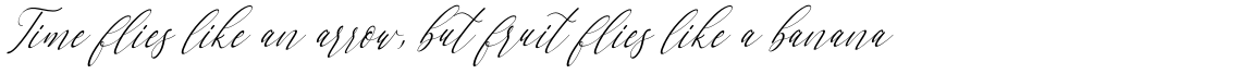 Letternisa Slant