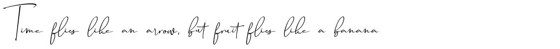 Travel Soulmates Signature