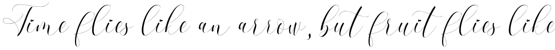 Refillia Calligraphy Regular