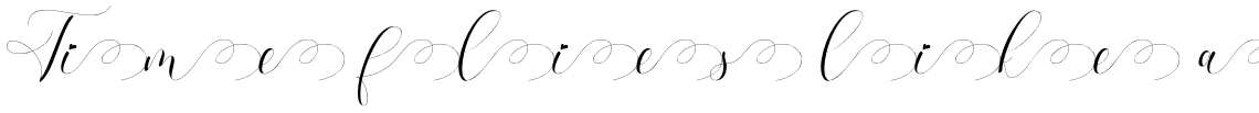 Refillia Calligraphy Swash 4