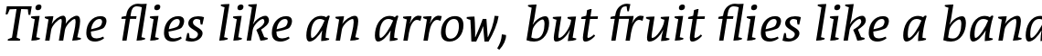 Acuta Light Italic