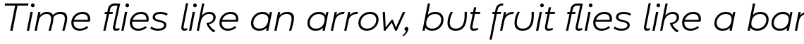 Umba Sans Alt Light Italic