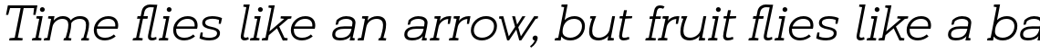 Umba Slab Light Italic