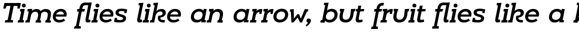 Umba Slab Alt Medium Italic