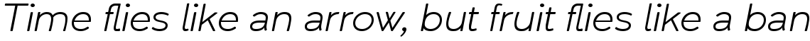 Umba Soft Light Italic