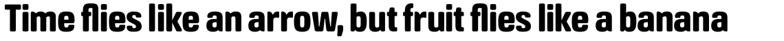 Crossfit Bold