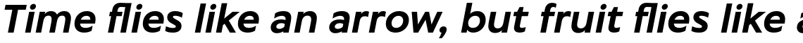 Captura Bold Italic