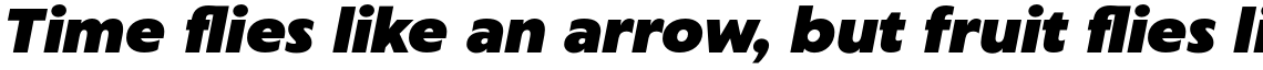 Captura Heavy Italic