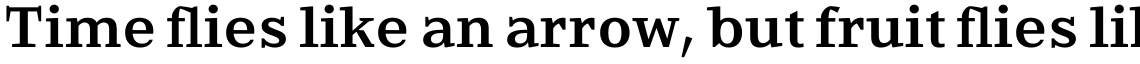 Every MICRO Bold