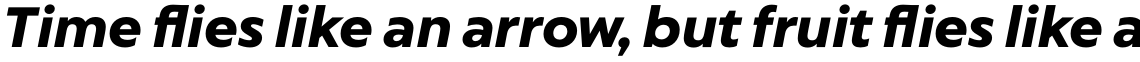 Captura Now Bold Italic