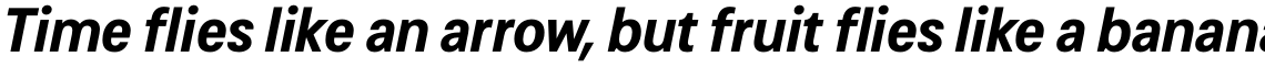 Cosima Bold Italic