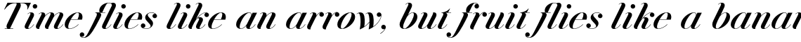 Jitzu Medium