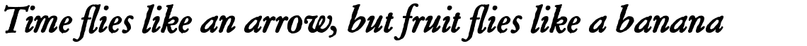 Archive Garamond Pro Bold Italic