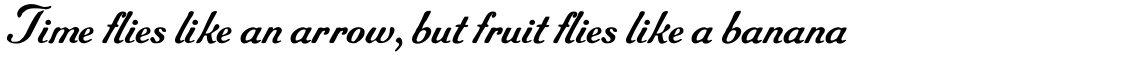 Archive Roundface Script