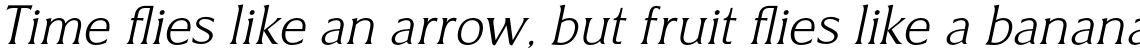 Revans Light Italic