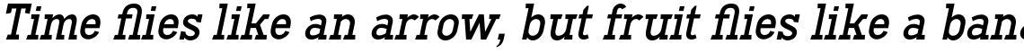 Hodgeson Italic