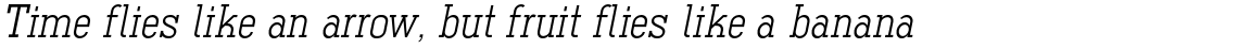 Ferguson Italic