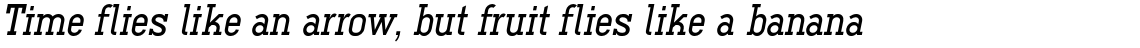 Ferguson Medium Italic