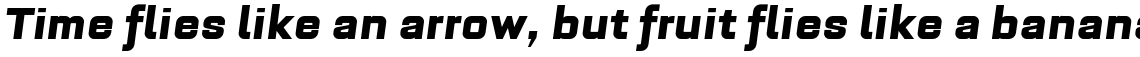 Bourgeois Ultra Italic