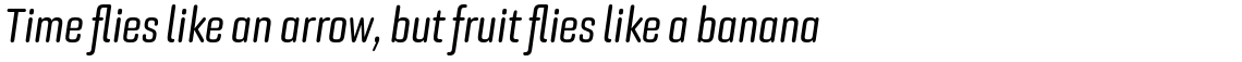 Bourgeois Rounded Medium Condensed Italic