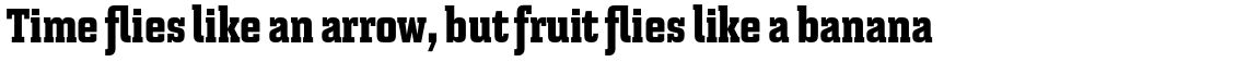 Bourgeois Slab Heavy Condensed