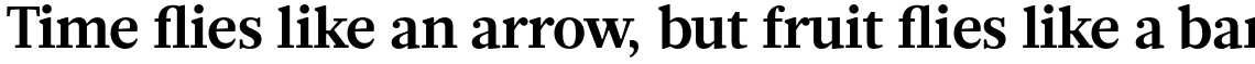 Glosa Bold