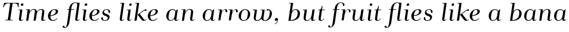 Andrade Pro Italic