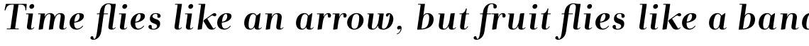 Andrade Pro Bold Italic
