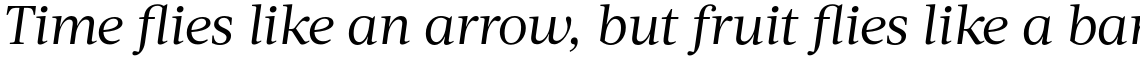 Acta Book Italic