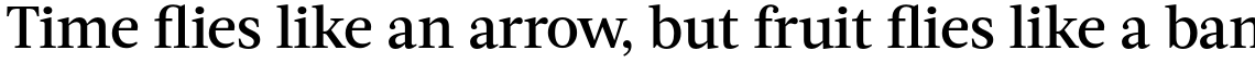 Acta Medium
