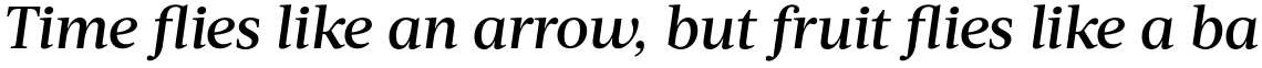 Acta Medium Italic