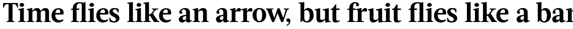 Acta Bold