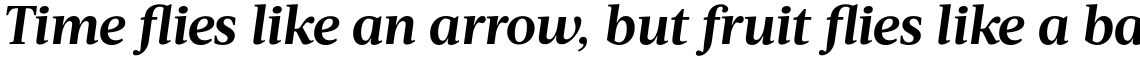 Acta Bold Italic