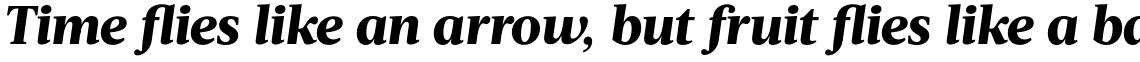 Acta Extra Bold Italic