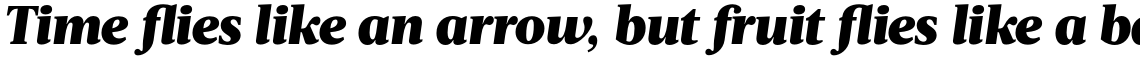 Acta Black Italic