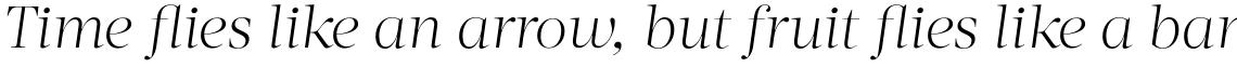 Acta Display Light Italic
