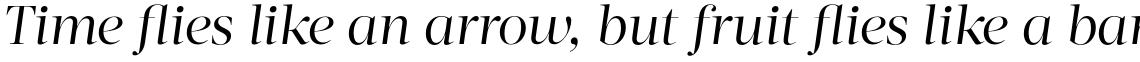 Acta Display Book Italic